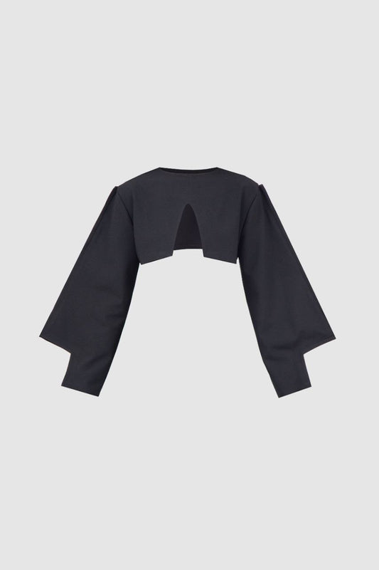 Black Crop Triangle Blouse