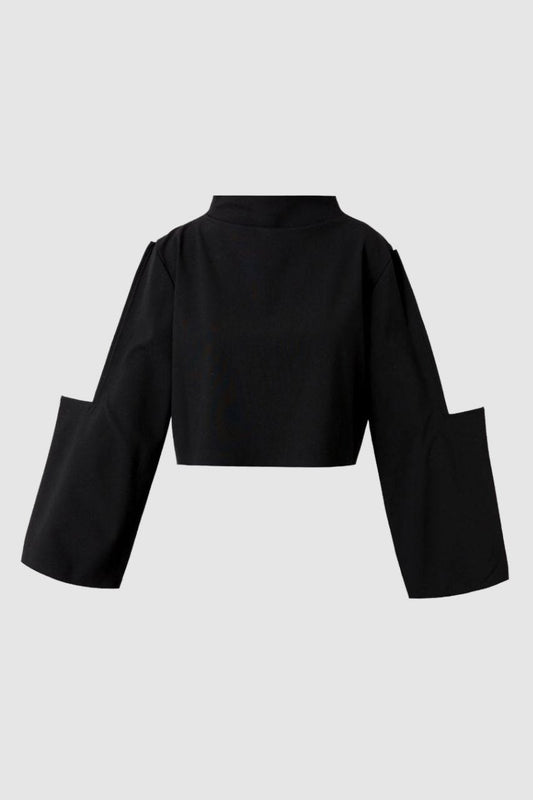 Black L Sleeve Blouse